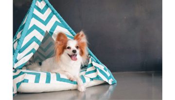 Hundezelt