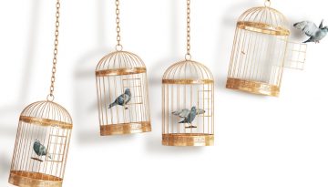 Vogelkäfig
