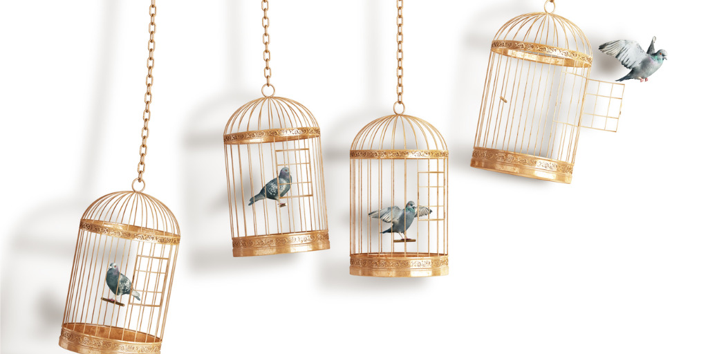 Vogelkäfig