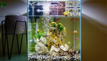 Nano Aquarium