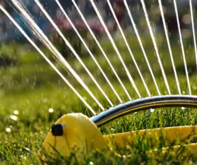 Sprinkler